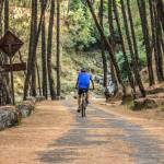 Triund
