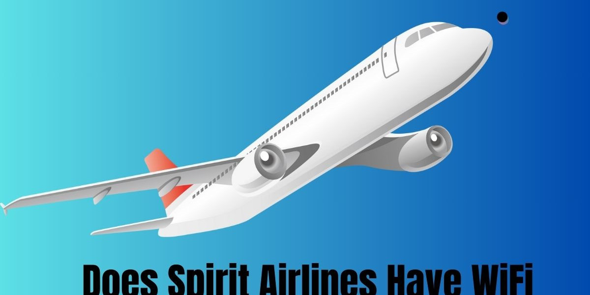 The Cost of Connectivity: WiFi Rates on Spirit Airlines