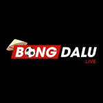 bongdalu7 Profile Picture