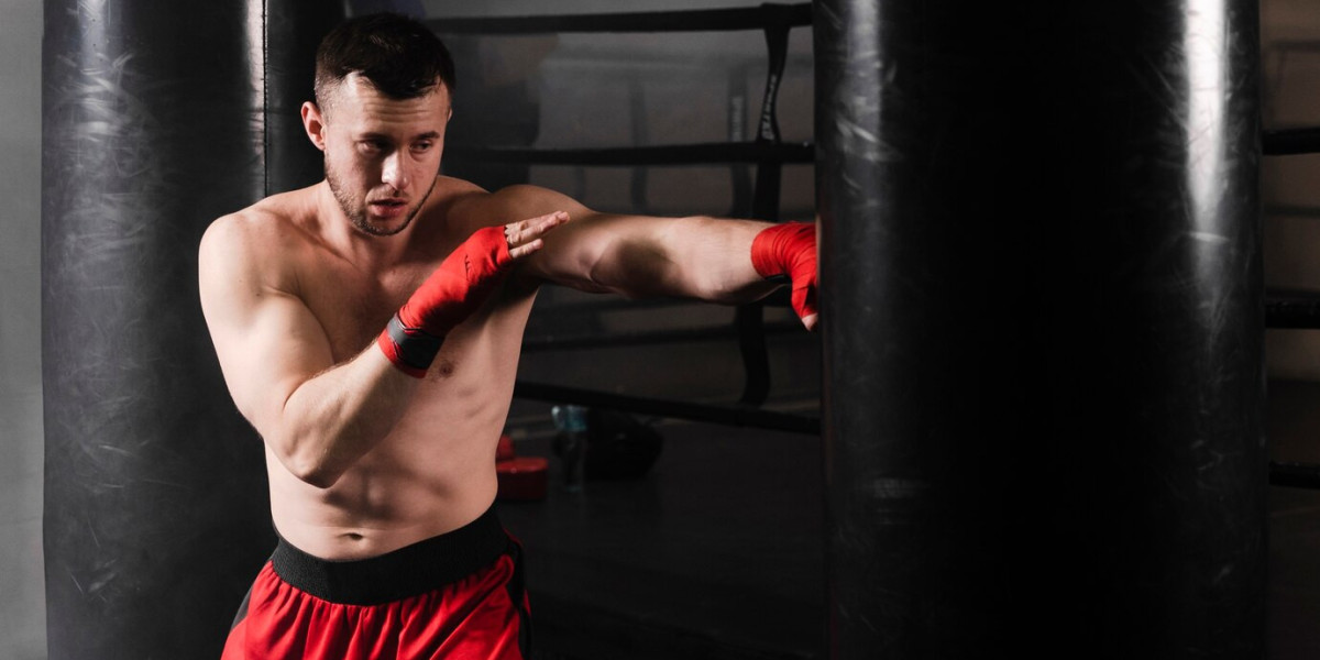 Best Hand Wraps for Beginners: 2024 Edition