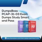pcap3103dumpspdf