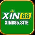 xin885site Profile Picture
