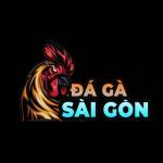 dagasaigon Profile Picture