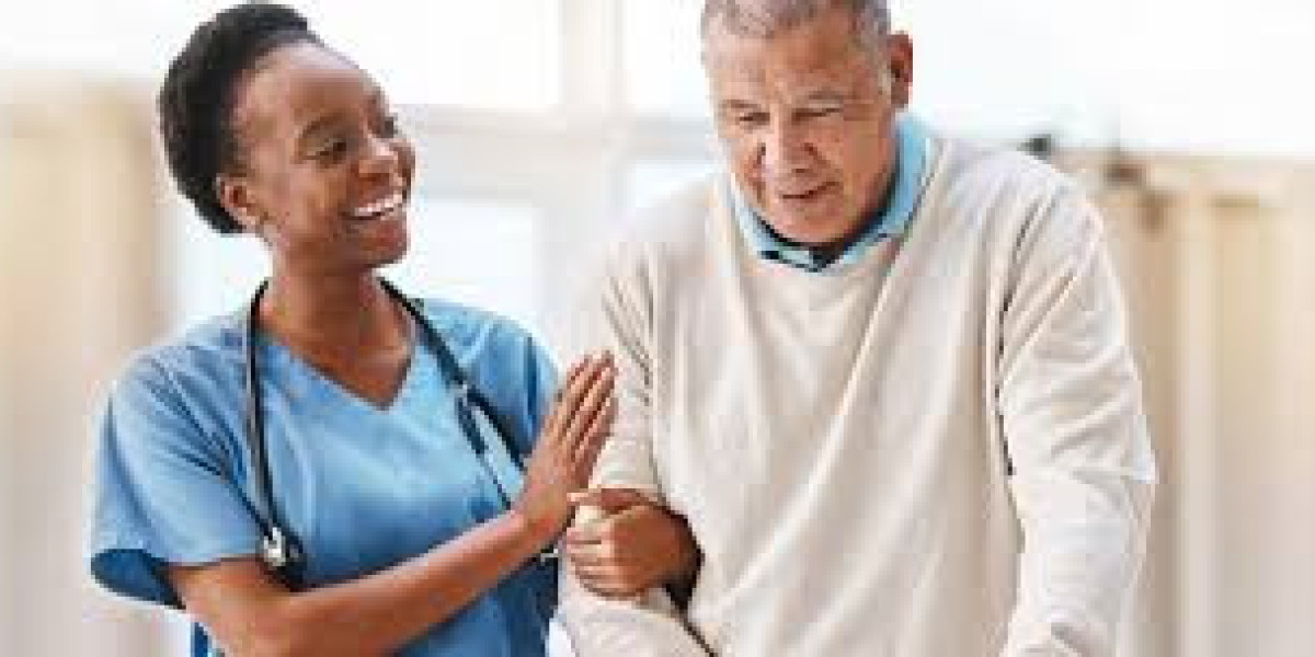 Transforming Nursing Education: Methodical Evaluations and Assistance