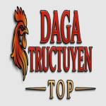 dagatructuyen Profile Picture