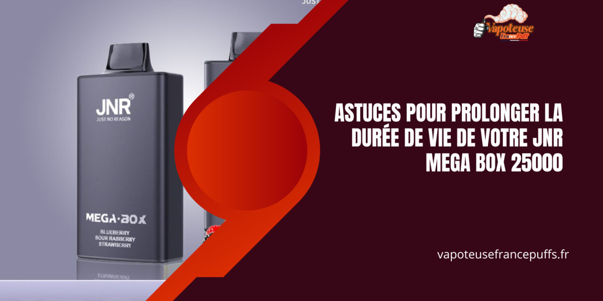 Astuces pour Prolonger la Durée de Vie de Votre JNR Mega Box 25000