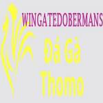 Đá Gà Trực Profile Picture