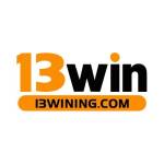 13Win Profile Picture