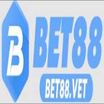 Bet Profile Picture